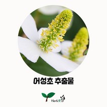 허브애향 어성초추출물 천연재료 50ml 기타재료