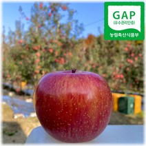 산지직송 청송 꿀사과 부사 10kg 정품 햇 부사 (선물용) 대과 24개 중과 30개 소과 36개