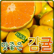 서귀포농원 23년 첫수확 고당도 비가림 하우스 감귤 5kg 10kg, 1개, 고당도 비가림 하우스  감귤 7.5kg대과(L~2L)