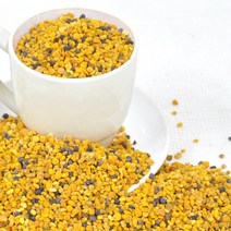 장명식품 스페인산 벌화분, 1개, 500g