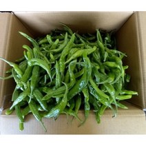 싱싱하고 연한 꽈리고추 특품 500g / 1kg / 4kg (한박스)