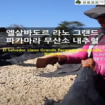(커피생두) 엘살바도르 라노 그랜드 파카마라 무산소내추럴, 250g, 1개