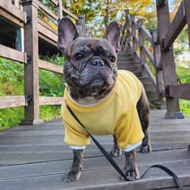 하랑펫 강아지옷 프렌치불독 전용옷 기모원단 자체제작 퍼그 보스턴테리어 3가지 타입중 선택가능, 민소매올인원, 옐로우