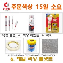 세트6 재규어 1AN 오스뮴 붓펜 색상 페인트 퍼티 빠데 450미리 커버링 12mm 마스킹 사포 붓 터치업 터치펜