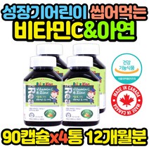 대용량 캐나다 수입 종합 비타민 아연 영양제 x4통 추천 선물 코스트코 홈쇼핑 보충제 보조제 효능 효과