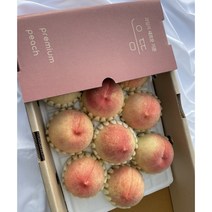 으뜸 선물용 최고급 황도 복숭아 영주 농장 직송 3kg, 1개, 3KG(9과-대)