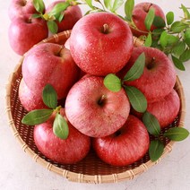 경북 청송 햇 부사사과 꿀사과 4kg 8kg 당도선별 대한민국스타팜 경북 영주 문경 충주 장수 사과 감홍 홍로 사과, 8kg 대과 (22~24과)