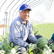 고당도 수박 프리미엄 꿀 고창 함안 양구 임산부 미니, 당도선별 꿀 수박 5kg