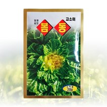 농사친구 봄동 씨앗 20g 동원 씨 종자 김장 배추 깻잎 양파 잔디 항암 고수, 20g 1봉