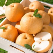 GAP인증 고당도 신고배 실속세트5kg(6~8과)/BFK