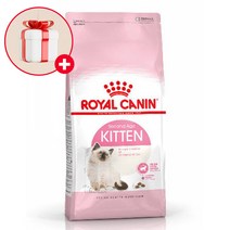 로얄캐닌 키튼 10kg 고양이사료, 본상품선택
