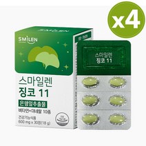 식약처 인증 기억력 혈행 개선 영양제 징코 11 은행잎 추출물 징코빌로바 뇌 두뇌 건강 영양제, 4개, 30정