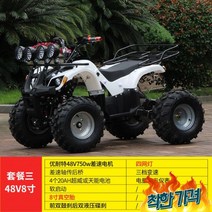 4륜 트럭 사륜 스키장 용, 48V750w-20AH-8인치