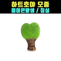 곰빵 하트호야 실내공기정화식물 집들이선물 인테리어