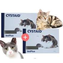 고양이 캣 시스테이드 플러스 30캡슐 영양보조제