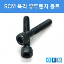 [lemonnbebe]# SCM 육각렌치볼트 M10x75 (3개), 3개