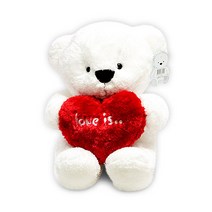 누리베어하트 곰인형 (소50cm) (레드) 프로포즈 인형