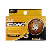 파리 트랩 잡는법 박멸 끈끈이 끈적이 트랩 B