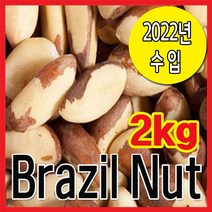 The큰나무 갓성비! 햇 브라질너트 페루산 완태 무염 견과류, 4팩, (완태) 500g
