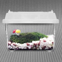 테라리움만들기 식물 재료 테라리움 이끼 비바리움 diy
