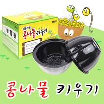 콩나물키우기-키트 국산콩 식물기르기 관찰 재배체험 DIY 유치원 어린이집 집콕놀이