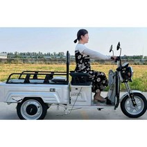 농업용 전기오토바이 화물차 전동차 카트 어르신 3륜, 800W + 60V20A  + 충전기 48V-60V