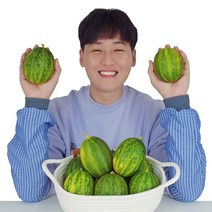경북 고령 스테비아급 고당도 파파야메론 파파야멜론, 5kg, 1개