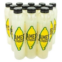 James’ Lemonade – Original Lemon Juice Recipe w/ Fresh Mint– (12 Pack) 16 Fl. Oz. Plastic Juice Bott, 1