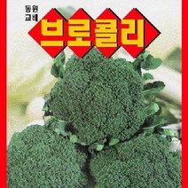 [가람종묘사] 브로콜리 씨앗(재배가 용이한 중생종 품종)