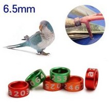 6.5mm 퀘이커 썬코뉴어 발목링1P(클로즈형) 그린칙코뉴어 앵무새 암수 혈통 구분