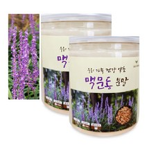 맥문동효능 국내산 맥문동 뿌리 가루 먹는법 200g 2통, 2개
