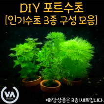 [비바소녀] 직접 만드는 DIY 포트수초 3종 1세트 4종 구성(8촉/15촉/15촉/20촉) / 100% 수중수초 인기수초 고급수초 초보수초, 비바세트(로그8로블4로홍8)