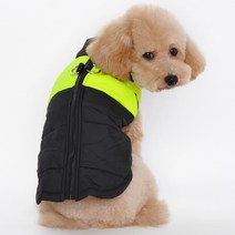 댕댕이 구스 오리 털 옷 겨울 방한복 2XL 3XL 4XL, 크린