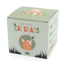반려 식물 화분재배키트 캣그라스 키우기 귀리싹 보리싹 밀싹 캣닢 고양이