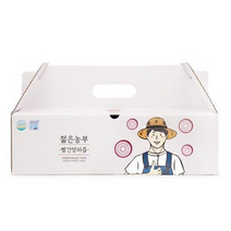 젊은농부 빨간양파즙 100ml, 60개