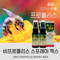 휴대 간편한 항산화 구강 항균 구내염 입천장 입안 헐었을때 에 도움주는 비 프로폴리스 스프레이 bee proplis spray 플라보노이드, 2BOX