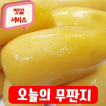 건영푸드 무짠지 국내산 1kg 오독오독 칼칼한 밥도둑 짠지무침 누구나 좋아하는 이 맛 으로 사랑 받는 식품 무짠지 1kg내외, 1봉