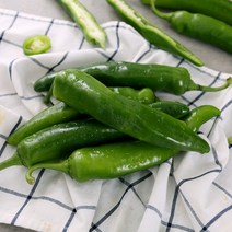 아삭하고 향이좋은 오이고추 500g