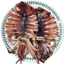 동해 반건조오징어 피데기 10마리 반건오징어 건오징어, 소 10마리 (1kg 내외)