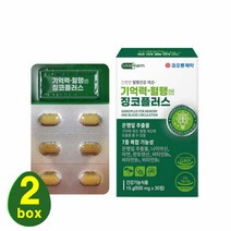 코오롱제약 징코 은행잎추출물 혈행 기억력개선 플라보놀배당체 캠페롤 징코라이드 아연 판토텐산 인지력 두뇌 혈관건강 식약처 기능성인정 뇌영양제 선물 건강기능식품, 2통, 30정
