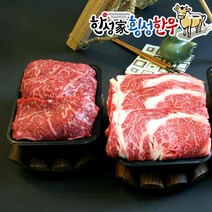 [한성가횡성한우]정품 횡성한우 1++등급 명품프리미엄 구이세트 6호 1kg(등심 500g 채끝등심 500g), 단품