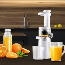 ZIPPY 지피주서 착즙기 주서기 원액기 녹즙기 주스 오렌지 레몬 과일 착즙, ZIPPY JUICER