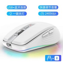 블루투스마우스 무소음 무선 게이밍 마우스 TigerCat M303 블루투스 듀얼 모드 충전식 마우스 데스크탑 노트북 E스포츠 게임 RGB 조명 10 개, White