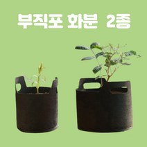 베란다 텃밭 파키우기 대파키우기 집에서채소키우기 부직포화분 2종