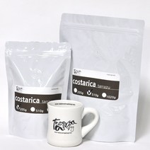 테이크아웃로스팅 코스타리카 따라주 스페셜 뉴크롭, 500g, 가는분쇄(모카포트)