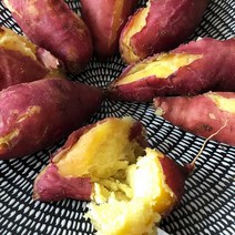 2022년 해남 햇 꿀 밤고구마 3kg 5kg 10kg 산지직송, 10kg/특상(120g~300g내외)