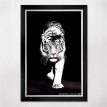 1000피스 직소퍼즐 암흑 속에 백호 모던블랙액자세트 PG1010 PG스토어, 단품, 단품