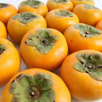 다농이네 [명절이후배송]산지직송 창원 북면 단감 5kg(27-30과)