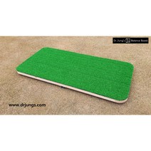 밸런스보드 Balance Board 쿵딱보드 체중이동 골프스윙연습기 비거리향상 송경서프로