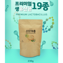프리미엄생유산균19종230g 락토바실러스아시도필러스 요구르트향분말 식물성유지 다양한 레시피에 활용, 1개, 230g